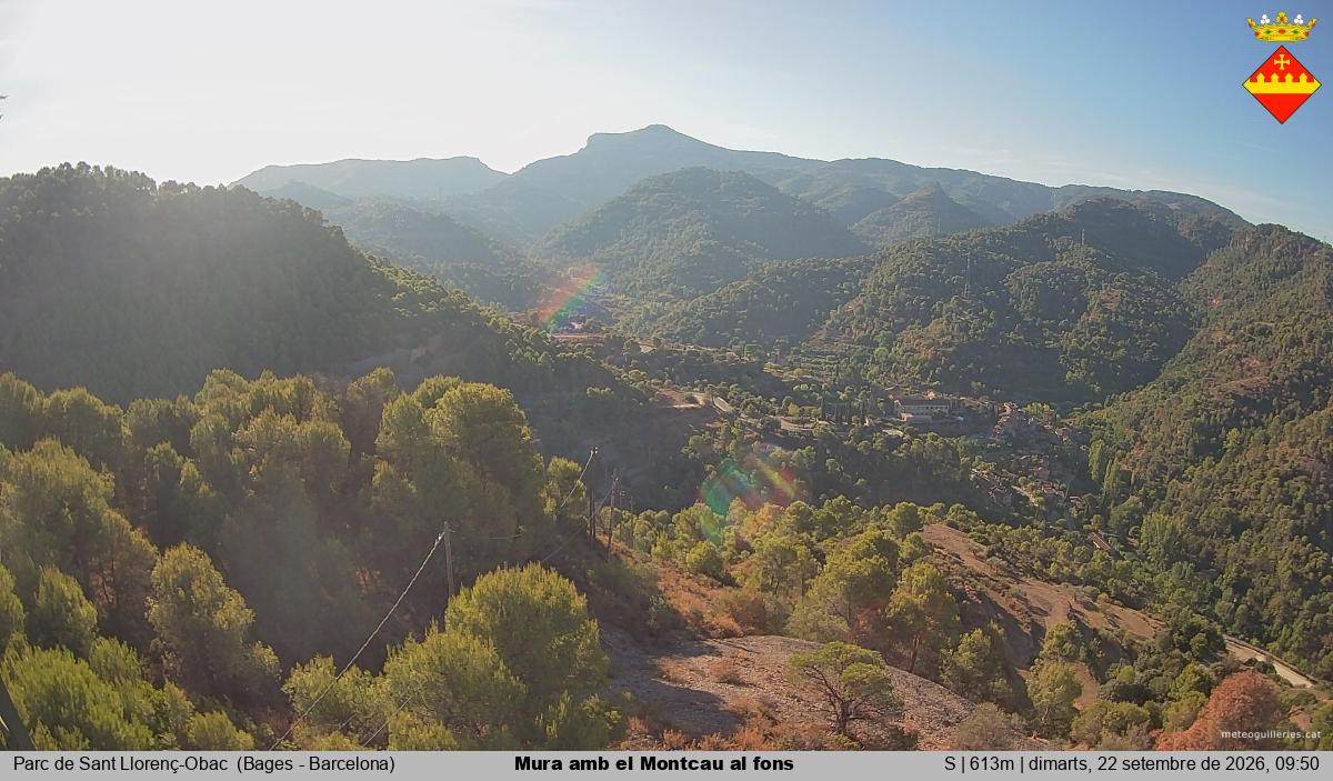 Mura amb el Montcau al fons