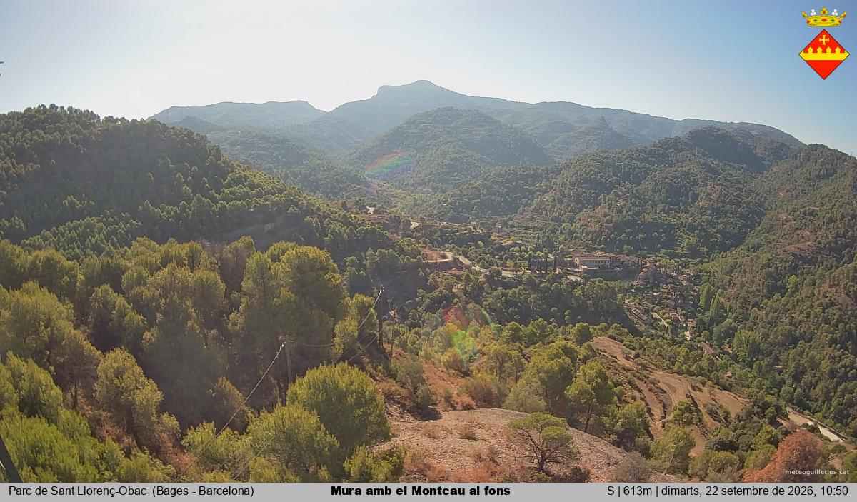 Mura amb el Montcau al fons