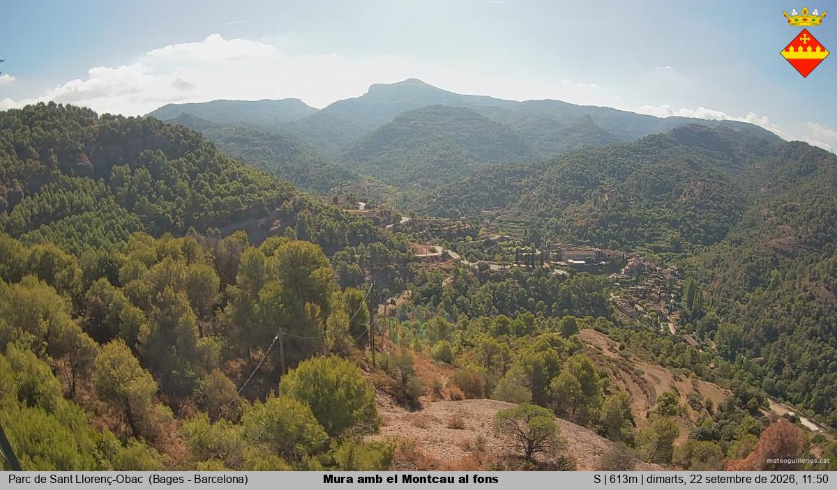 Mura amb el Montcau al fons