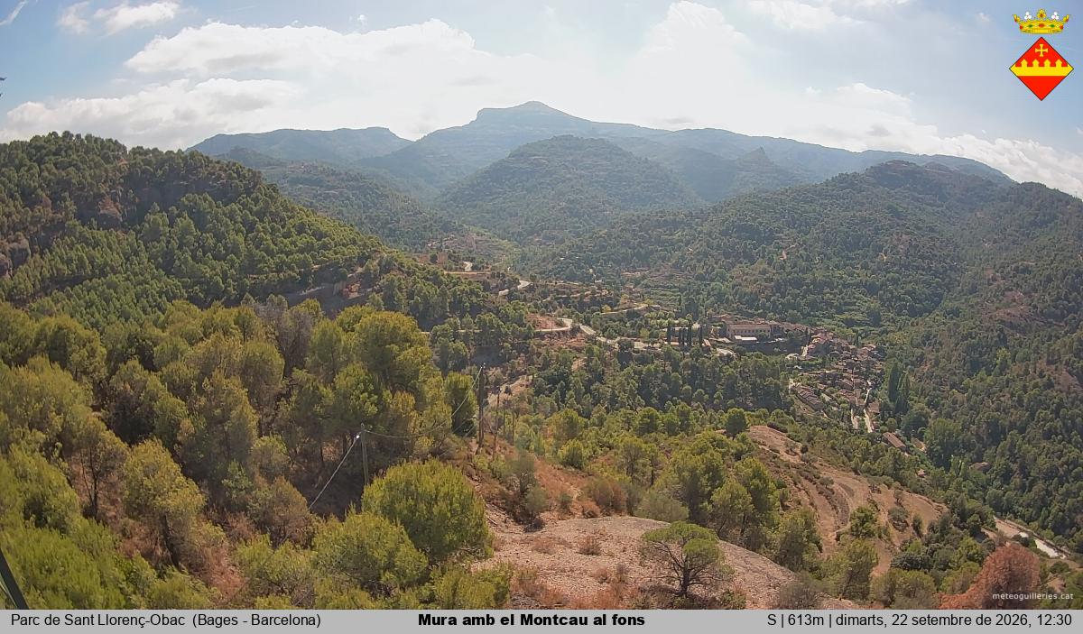 Mura amb el Montcau al fons