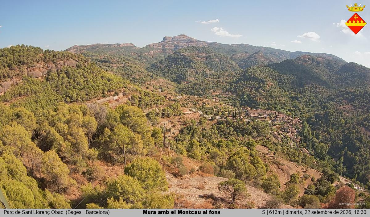 Mura amb el Montcau al fons
