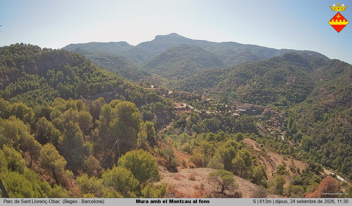 Mura amb el Montcau al fons
