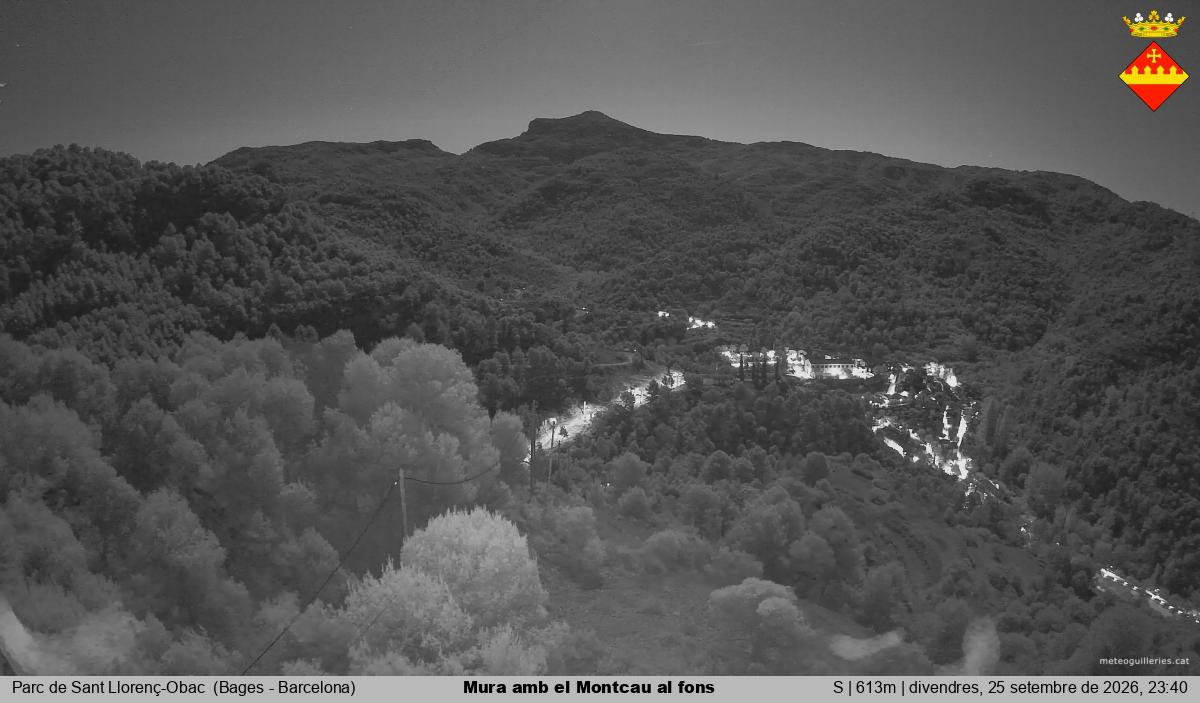 Mura amb el Montcau al fons
