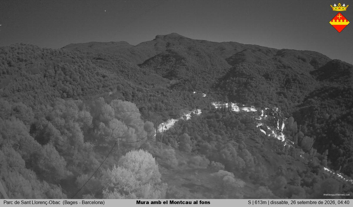 Mura amb el Montcau al fons