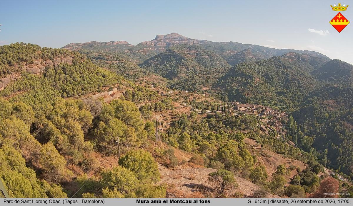 Mura amb el Montcau al fons