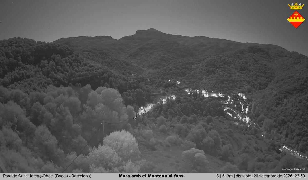 Mura amb el Montcau al fons