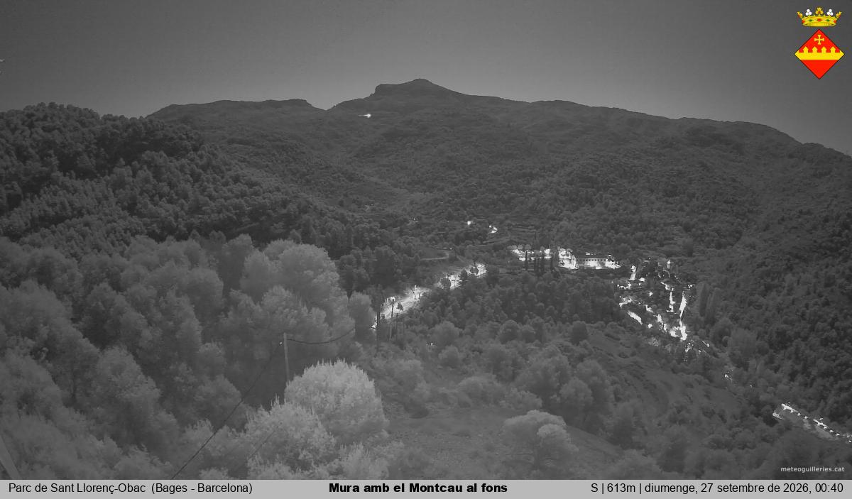 Mura amb el Montcau al fons