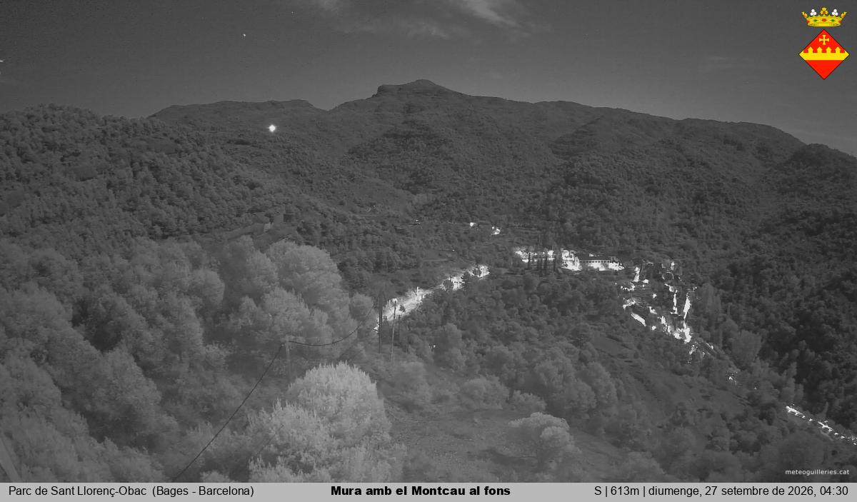 Mura amb el Montcau al fons