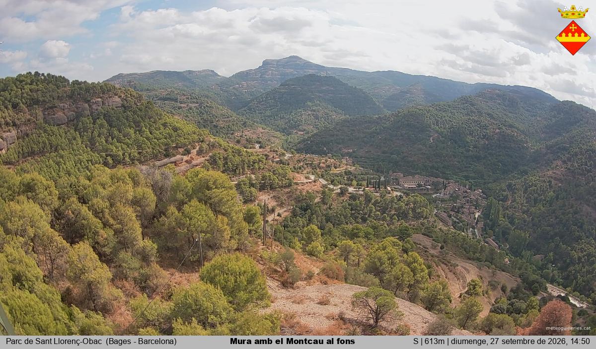 Mura amb el Montcau al fons