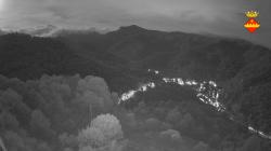 Webcams