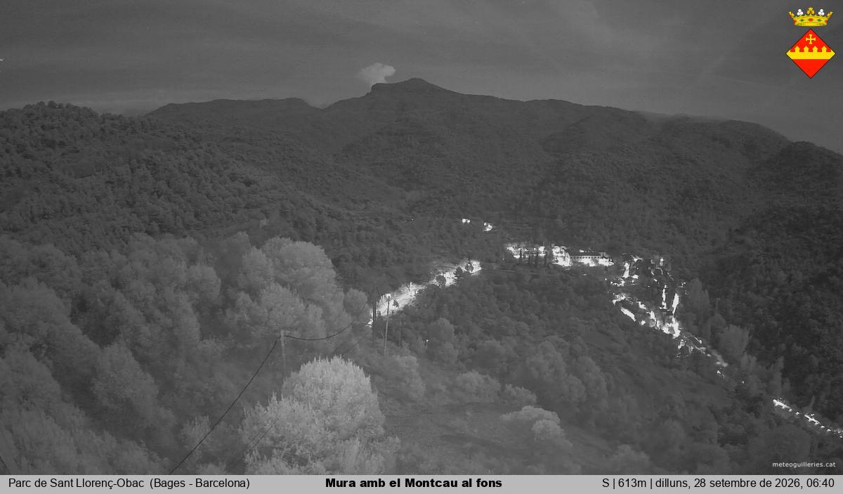 Mura amb el Montcau al fons
