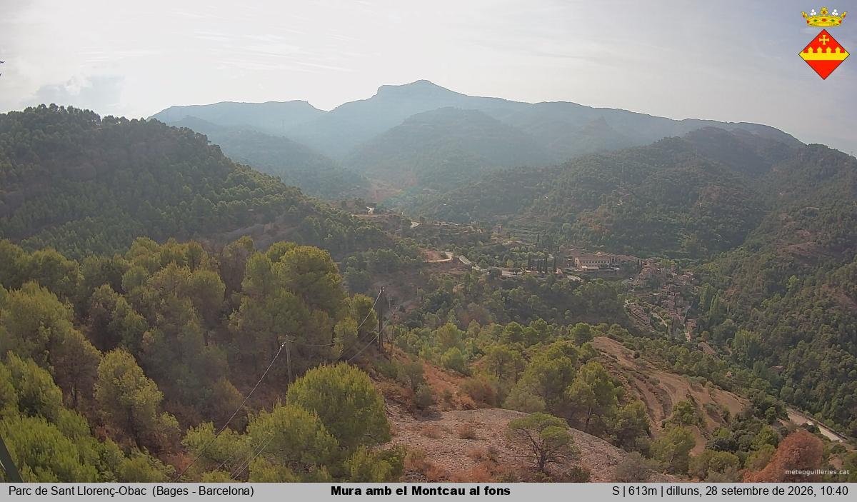 Mura amb el Montcau al fons