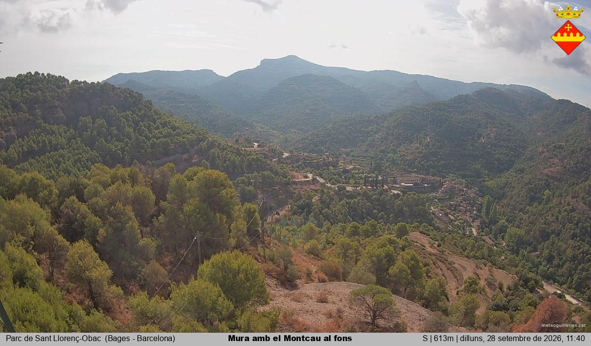 Mura amb el Montcau al fons
