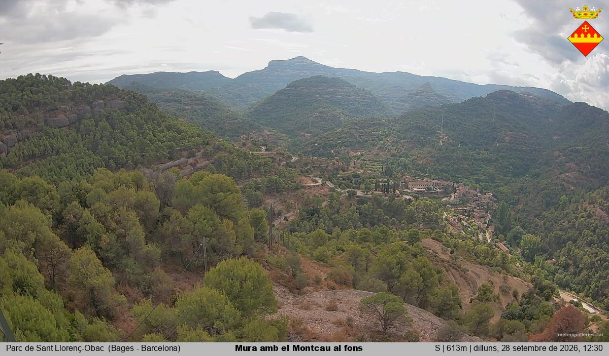 Mura amb el Montcau al fons
