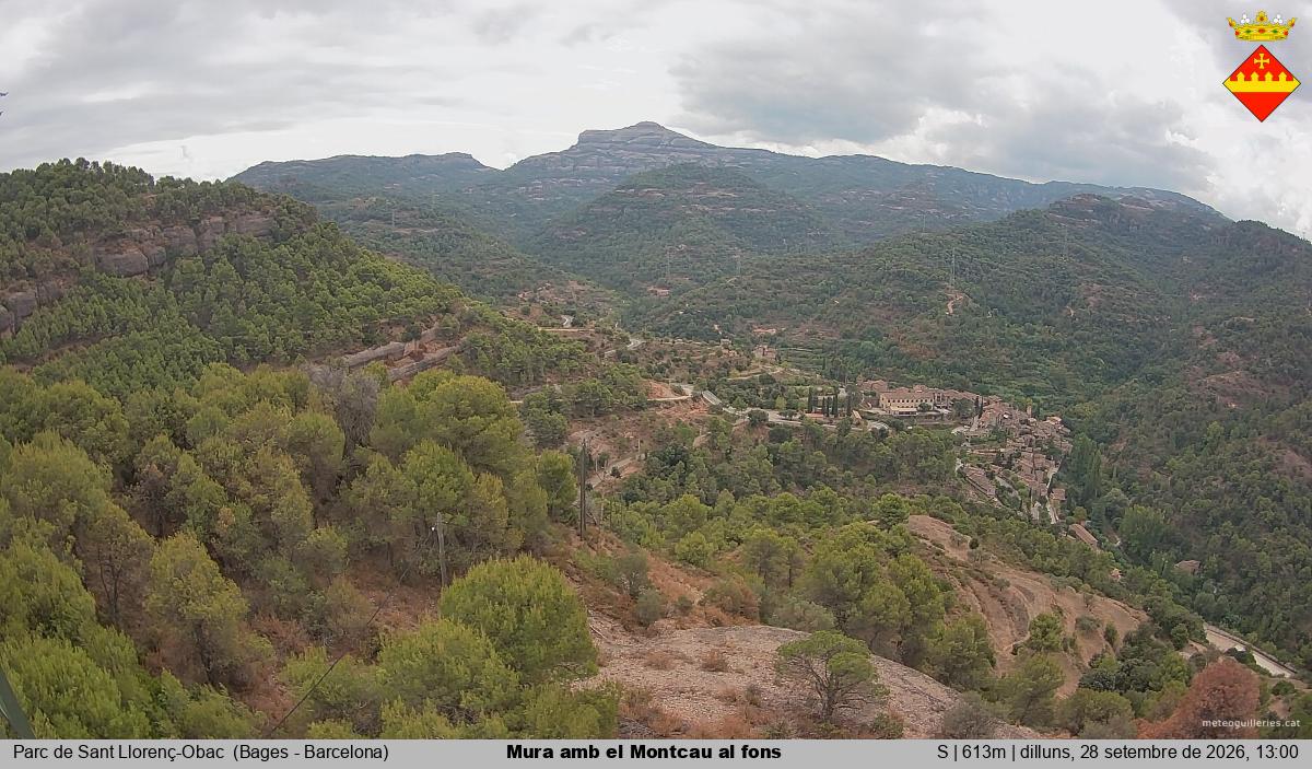 Mura amb el Montcau al fons
