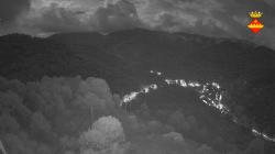 Webcams