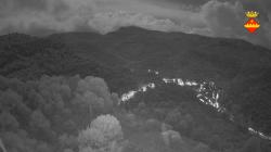 Webcams