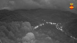 Webcams