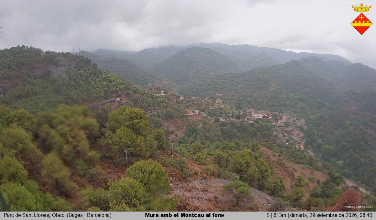 Mura amb el Montcau al fons