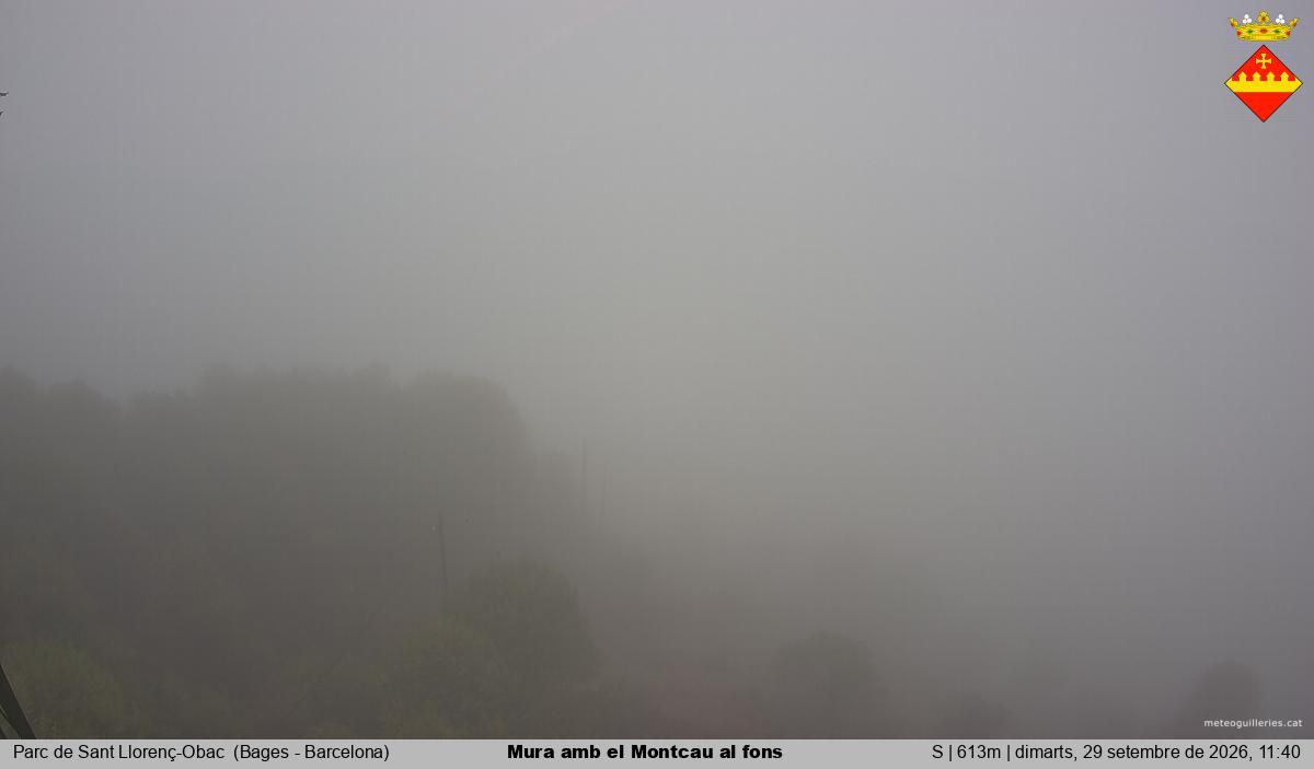 Mura amb el Montcau al fons