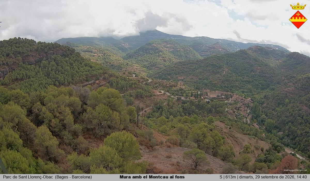 Mura amb el Montcau al fons