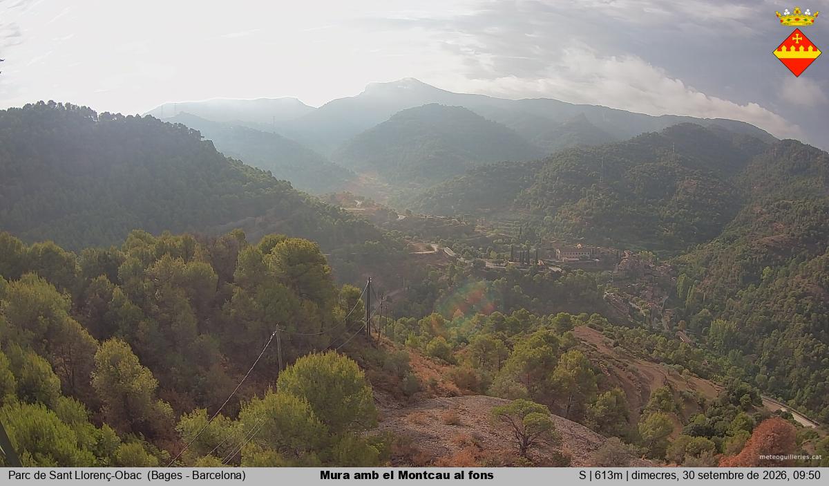 Mura amb el Montcau al fons