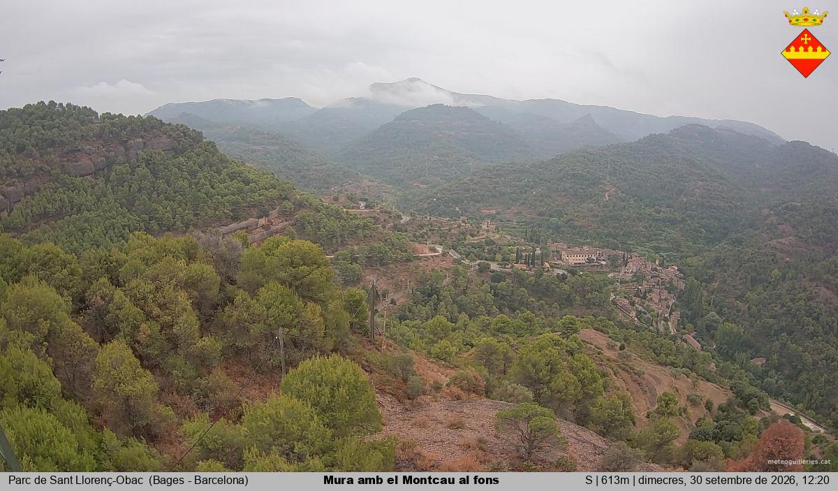Mura amb el Montcau al fons