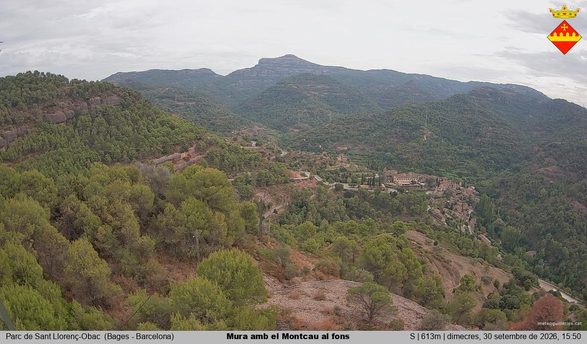 Mura amb el Montcau al fons