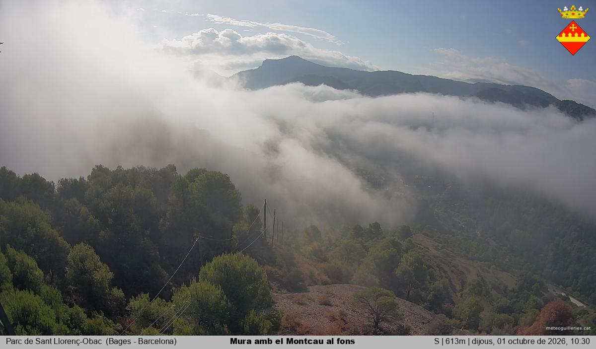 Mura amb el Montcau al fons
