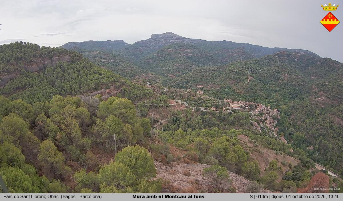 Mura amb el Montcau al fons