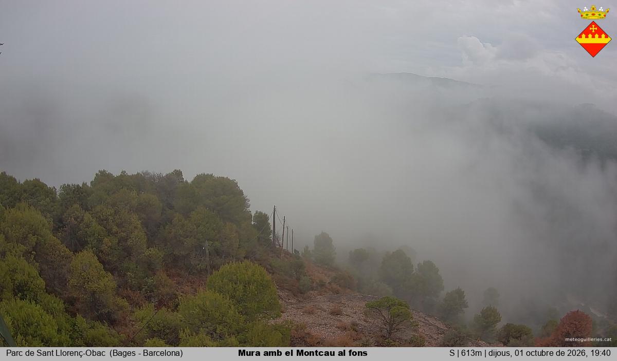 Mura amb el Montcau al fons