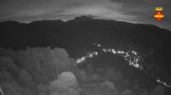 Webcams