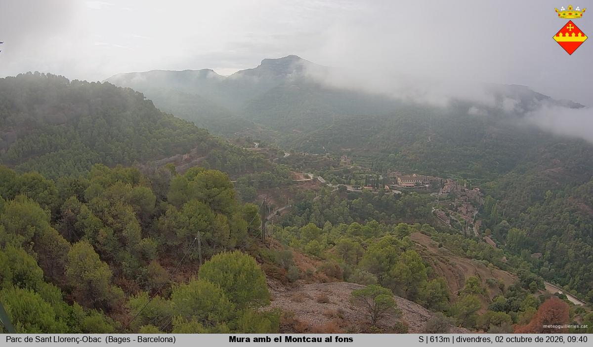 Mura amb el Montcau al fons