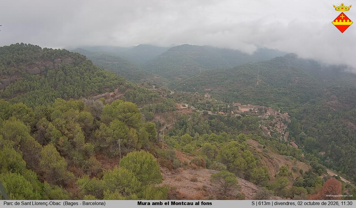 Mura amb el Montcau al fons