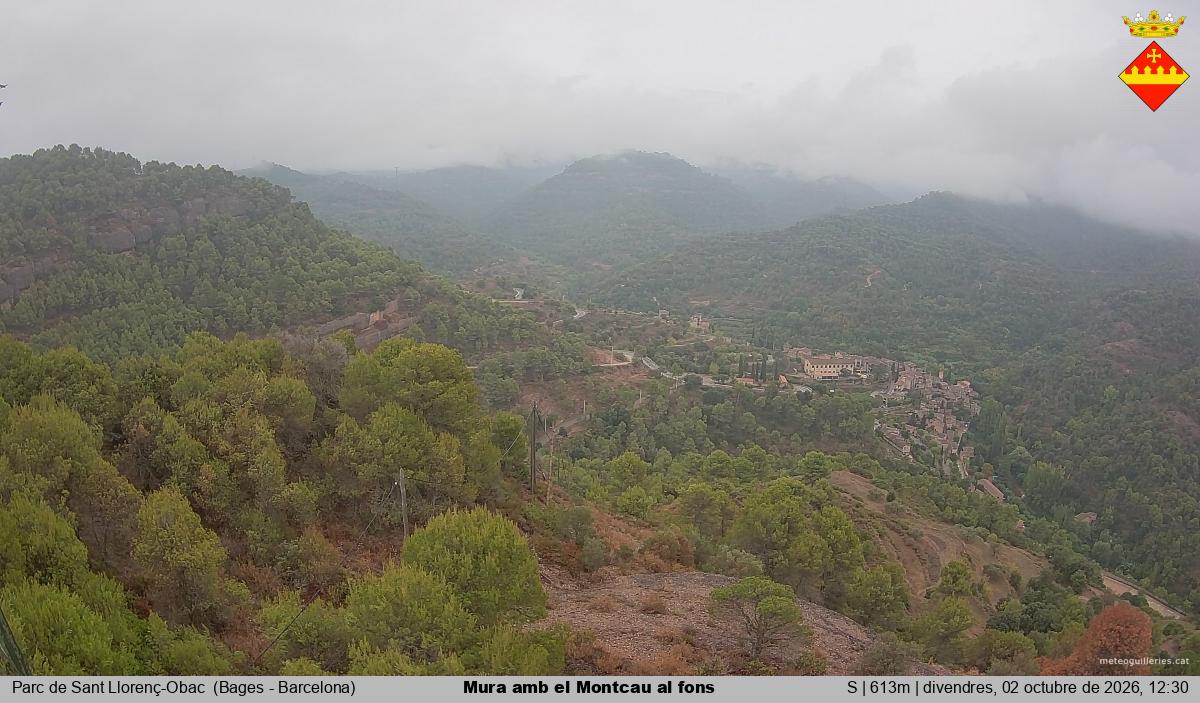 Mura amb el Montcau al fons