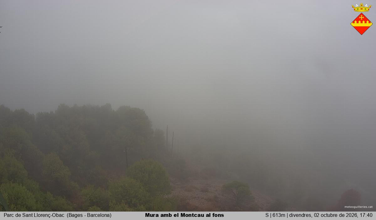 Mura amb el Montcau al fons