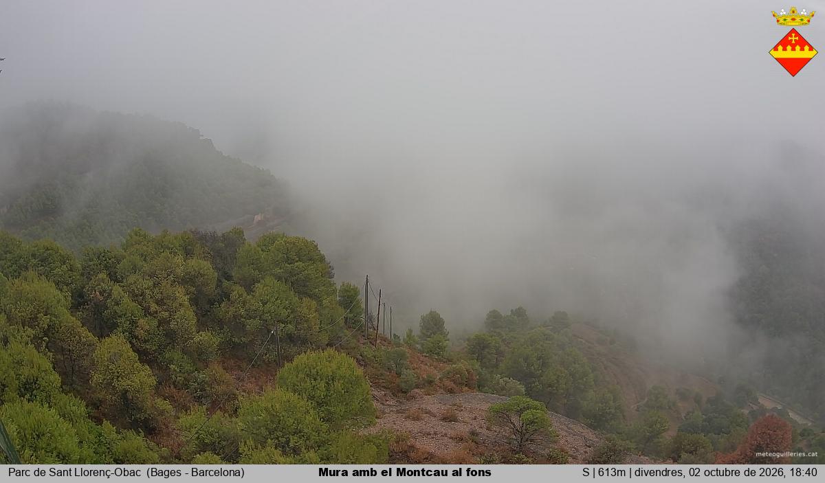 Mura amb el Montcau al fons