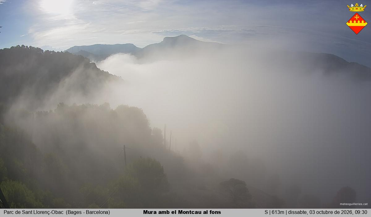 Mura amb el Montcau al fons