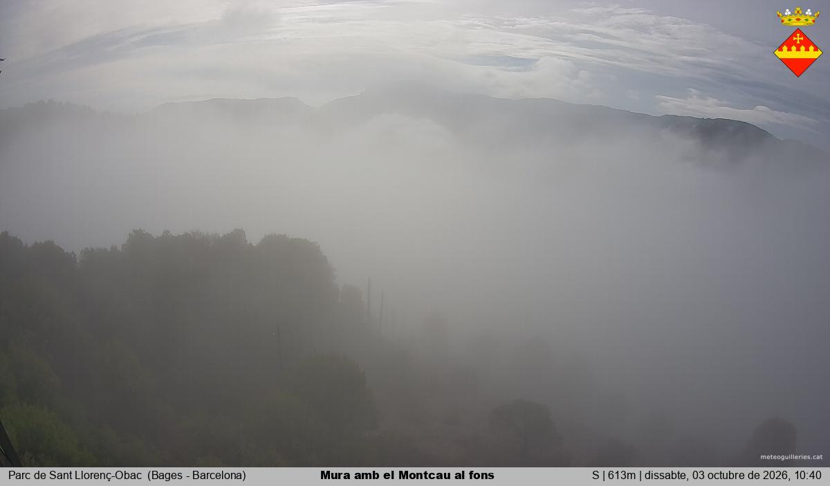 Mura amb el Montcau al fons