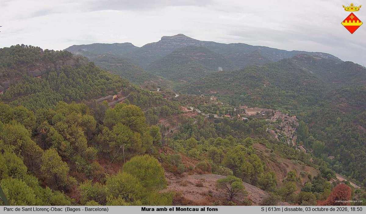 Mura amb el Montcau al fons