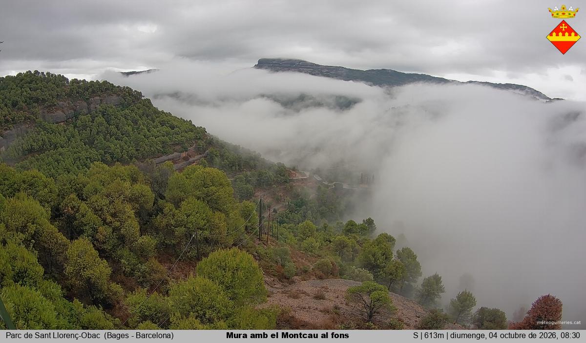 Mura amb el Montcau al fons