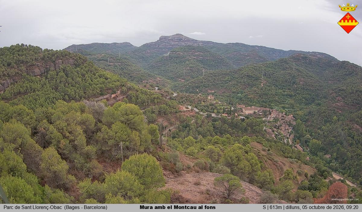 Mura amb el Montcau al fons
