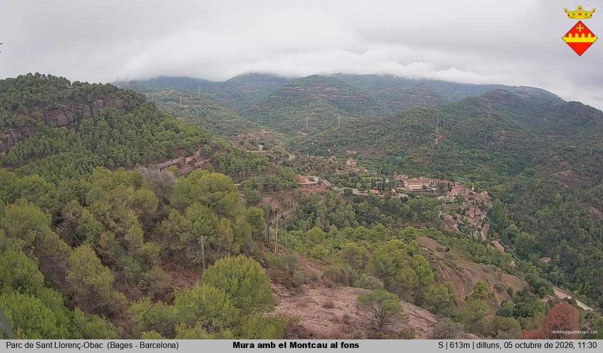 Mura amb el Montcau al fons