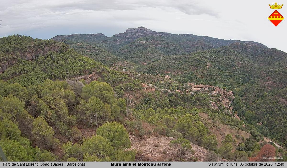Mura amb el Montcau al fons
