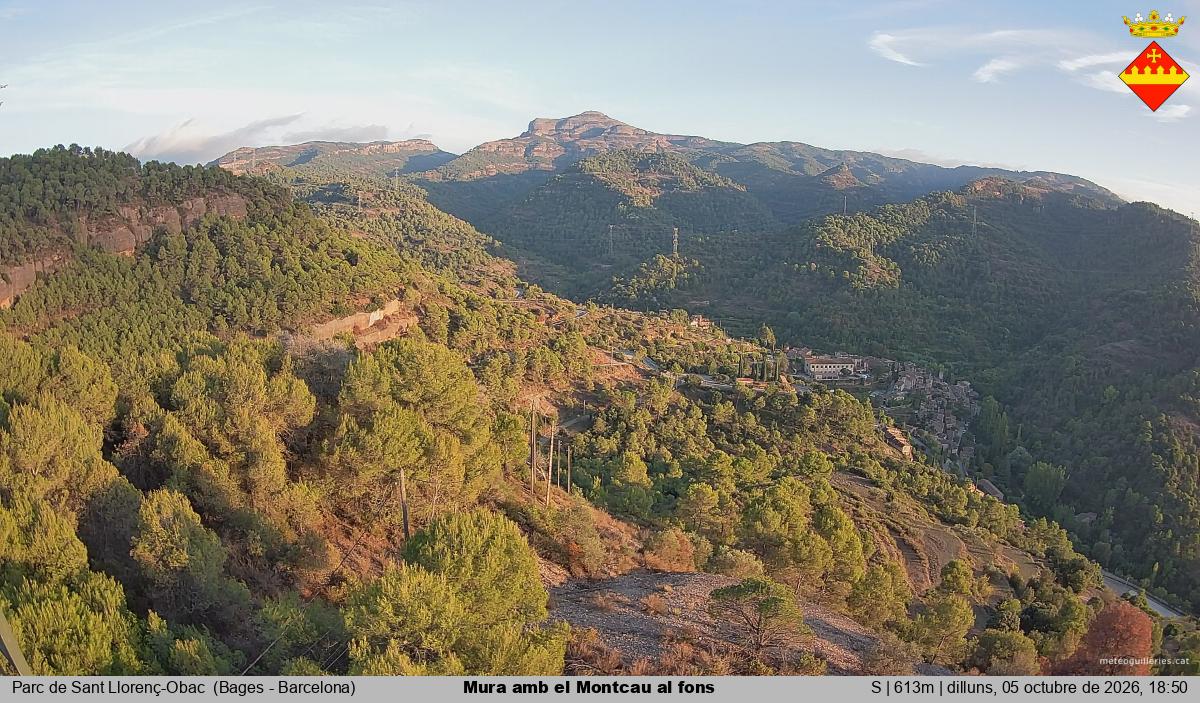 Mura amb el Montcau al fons