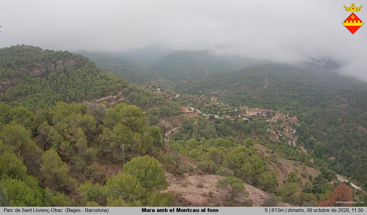 Mura amb el Montcau al fons