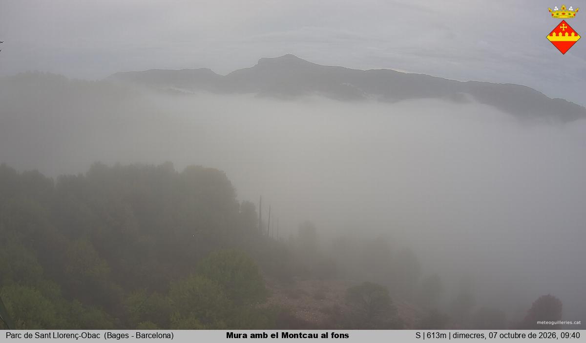 Mura amb el Montcau al fons