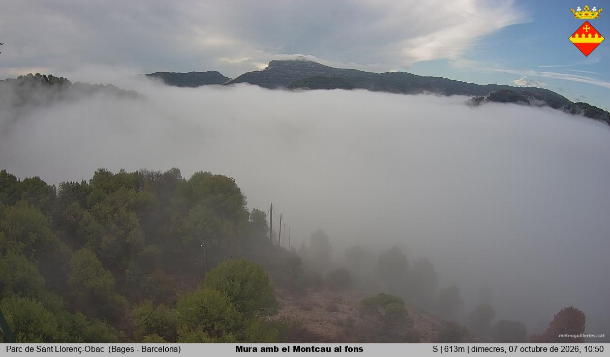 Mura amb el Montcau al fons