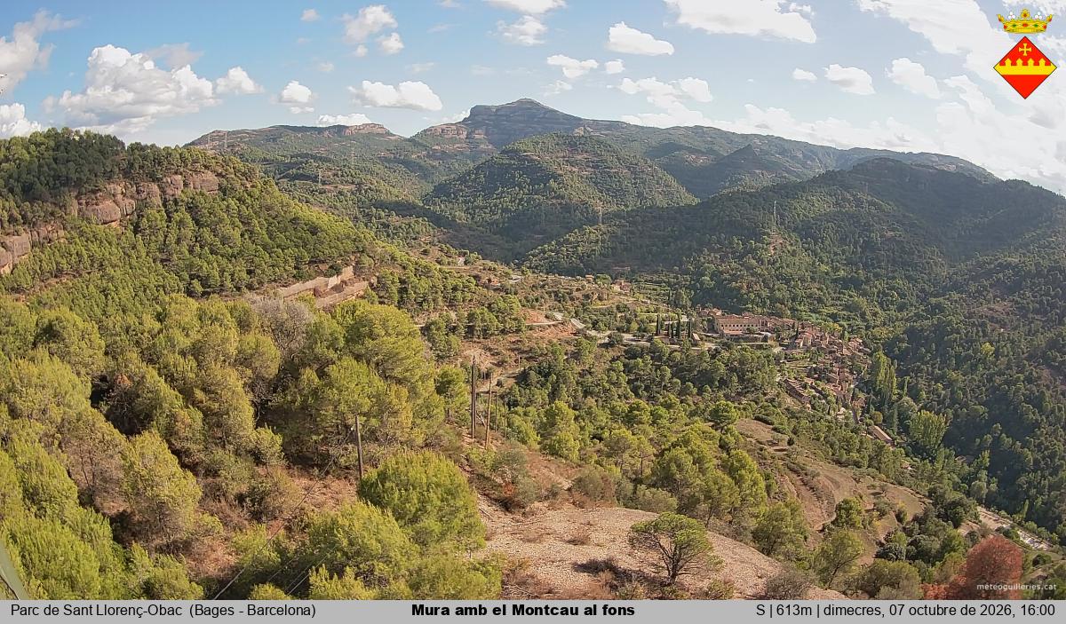 Mura amb el Montcau al fons