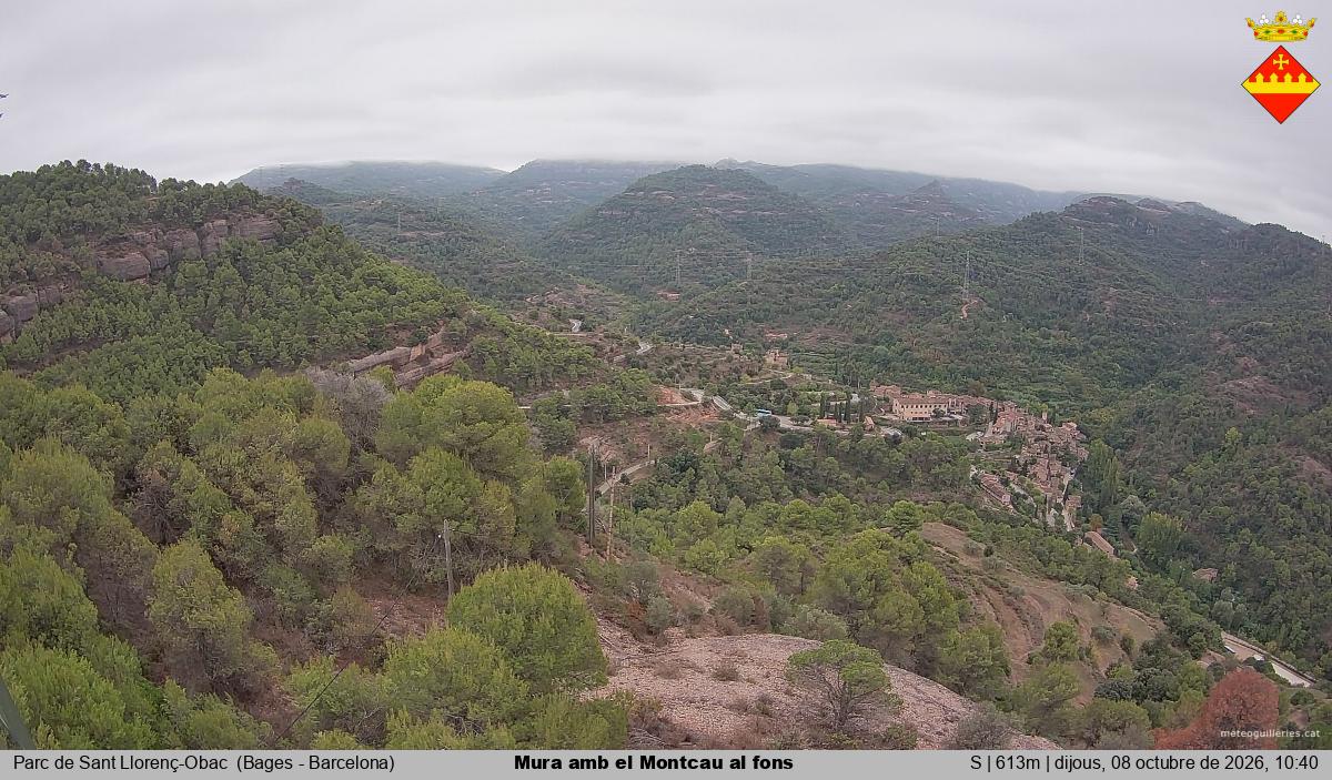 Mura amb el Montcau al fons